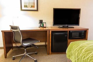 Comfort Inn & Suites Airport Convention Center - Charleston - 4