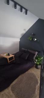 Remote working heaven in Zagreb, high speed Wi-Fi - Zagreb - 1