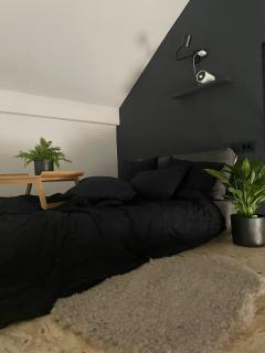 Remote working heaven in Zagreb, high speed Wi-Fi - Zagabria - 2