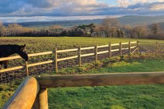 Betty Bedford Horsebox Glamping - Aberaeron - 9