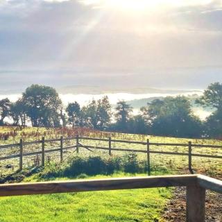 Betty Bedford Horsebox Glamping - Aberaeron - 1