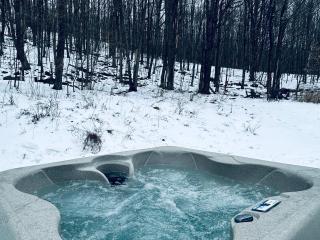 Cozy Cottage with Jacuzzi and Fire Pit and Reading Nook! - 9