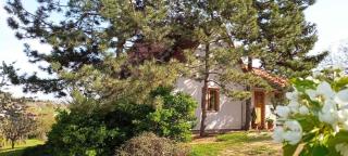 Holiday home in Pakozd - Velence-See 43968 - 7