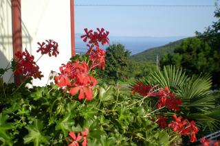 Apartments with a parking space Labin - 7468 - Labin - 4