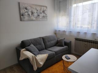 Apartments with a parking space Karlovac - 20779 - Karlovac - 9