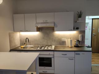 Apartments with a parking space Karlovac - 20779 - Karlovac - 8