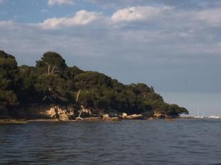Studio climatisé avec piscine et Wi-Fi, à 150m des plages et du centre-ville de Cannes - FR-1-609-41 - Cannes - 6