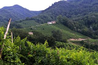 B&B Casa di Campagna - Miane - 7