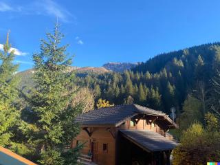 Alpine Creek - Luxury Ski-in Avoriaz Morzine - Morzine - 8
