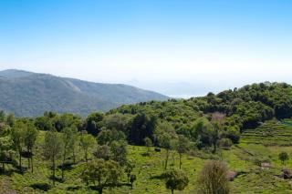 The Royale Ridge - Kotagiri - 7