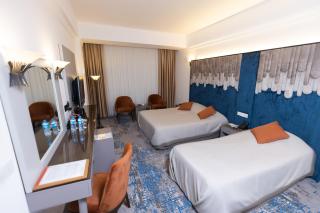 Dilshad Palace Hotel - 9