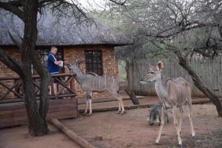 Khumbula iAfrica 1 - 6