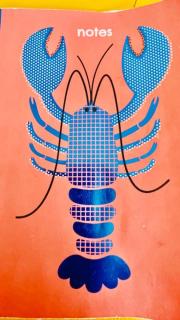 Studio le homard bleu - Camaret-sur-Mer - 2