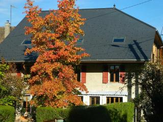maison de marie - Doussard - 0
