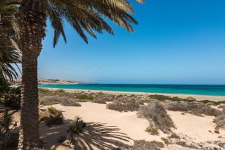 Home2Book Aloha Palm - Costa Calma - 6