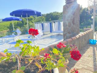 Serra Marina Rooms and Apartments - Santa Maria di Castellabate - 5