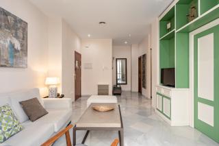 Green-Apartments Sierpes - 8