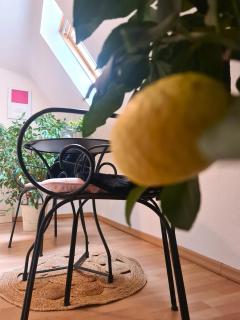 Gästehaus Zum Weinbauer - 2