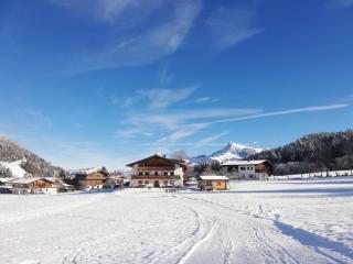 Pension Wötzinghof - Kirchberg in Tirol - 8