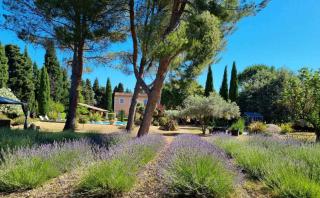 Le Clos des Cyprès Maison d'hôtes de charme - Diner Gourmet & Bien-être - Graveson - 8