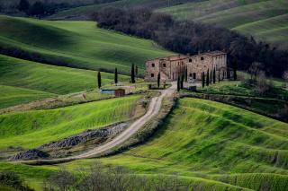 Podere Fossaccio Casa Pino - Asciano - 5