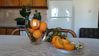 Maritsa's Roses Apartments - Pomos - 1