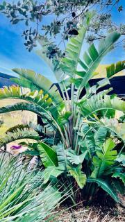 SUPERBE APPARTEMENT VUE MER - PLAGE, PISCINE et TENNIS PRIVE - Bandol - 3