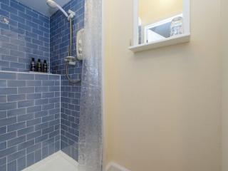Kittiwake - 6