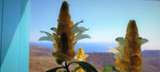 WabiSabi Serifos Chora w/ Spectacular Sea Views - Serifos Chora - 3