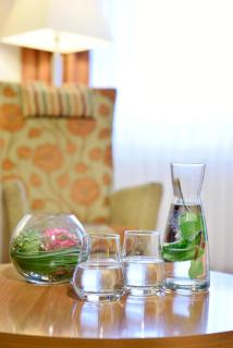 Best Western Plus Parkhotel Maximilian Ottobeuren - Ottobeuren - 8