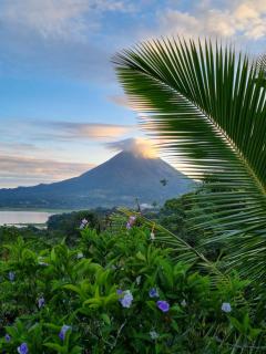 Vulkan Arenal Amazing View Lodge 4 WD - El Castillo de la Fortuna - 6