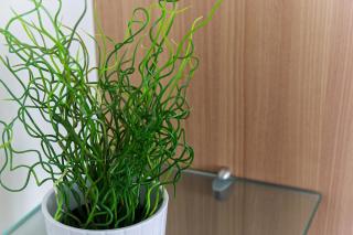 Belfort - Localisation exceptionnelle 2 chambres avec ascenseur et Parking - 3