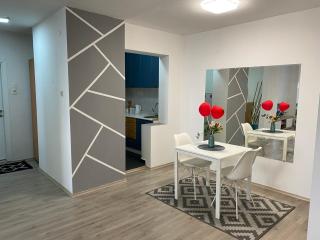 Regina's Modern Apartment2 - Skopje - 5