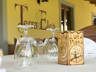 Agriturismo Terra Di Elea azienda agricola di Raimondo MIchela - Ascea - 8