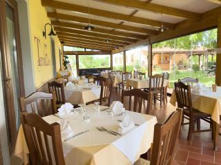 Agriturismo Terra Di Elea azienda agricola di Raimondo MIchela - 4