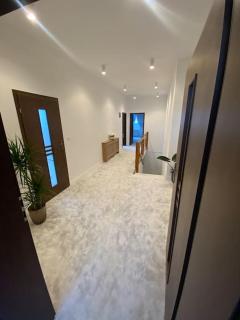 Strzyzewo Witkowskie Luxury Apartment - - 1