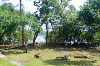The Birds Nest - Bocas del Toro - 2