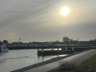 Kleine Scholle - Neuharlingersiel - 5