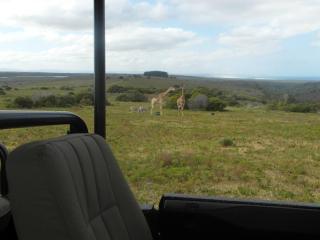 Fijnbosch Self Catering Chalet - Jeffreysbaai - 5
