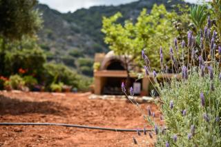 Villa Karmilos - A family Villa near the cretan sea and the mountains - sissi - 7