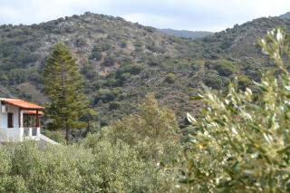 Villa Karmilos - A family Villa near the cretan sea and the mountains - sissi - 4