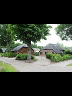 B&B De Drentse Es - Emmen - 8