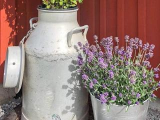 Holiday home TRÄLÖVSLÄGE - Träslövsläge - 6