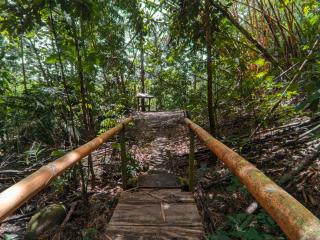 Tree Houses Hotel Costa Rica - Florencia - 7