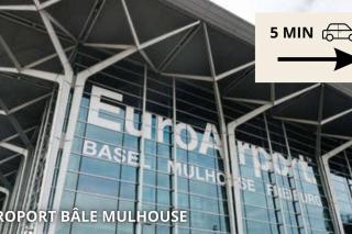 L'ESCALE, proche Suisse, parking - Hésingue - 7