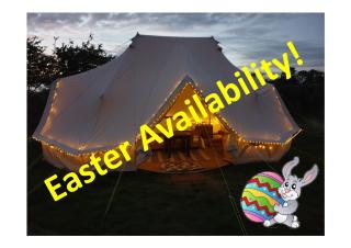 6m Emperor tent near Whitby with log burner - Liverton - 9