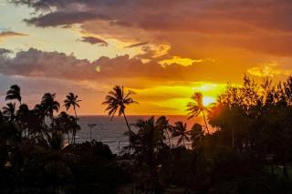 Island Surf 601A - Kihei - 9