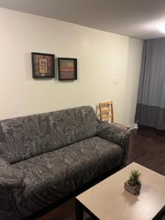 Cozy & Spacious Suite with Private Bathroom near Toronto Airport ! - 7