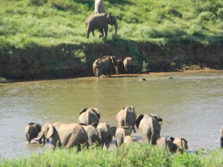 Kruger View Chalets - Malelane - 8