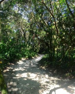 Camping e Pousada do Ade - Ilha do Mel - 9